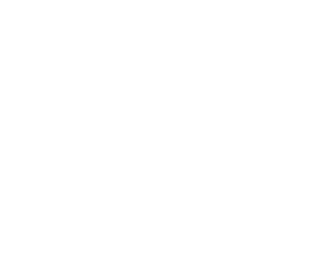 ISO 9001 V2 EN_white ISO 9001 Certificate Logo